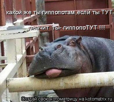 ,значит ты- гиппопоТУТ !!! какой же ты гиппопотам,если ты ТУТ... Котоматрица: ,значит ты- гиппопоТУТ !!! какой же ты гиппопотам,если ты ТУТ