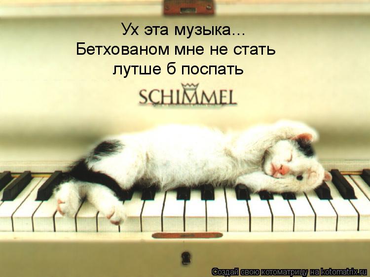 Ух эта музыка... Бетхованом мне не стать лутше б поспать... Котоматрица: Ух эта музыка... Бетхованом мне не стать лутше б поспать
