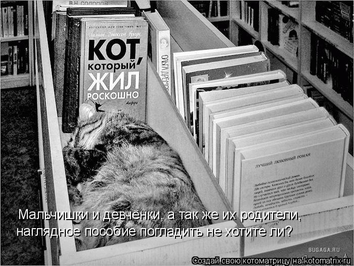 Котоматрица: Мальчишки и девчёнки, а так же их родители, наглядное пособие погладить не хотите ли?