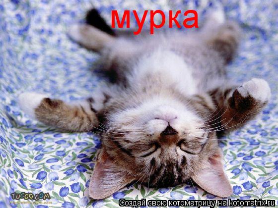мурка... Котоматрица: мурка