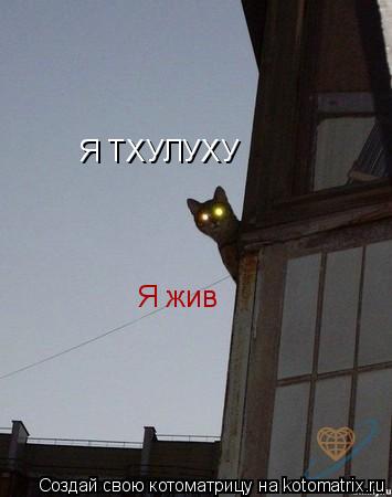 Котоматрица: Я ТХУЛУХУ Я жив