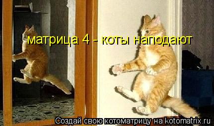 матрица 4 - коты наподают... Котоматрица: матрица 4 - коты наподают