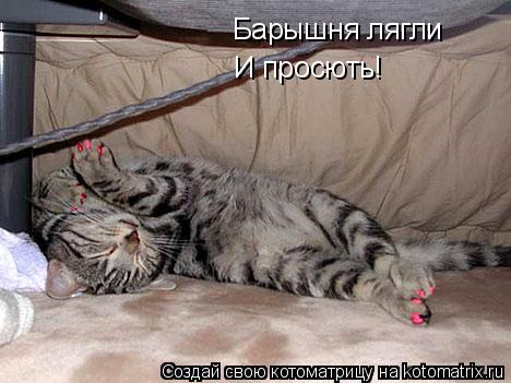 Барышня лягли И просють!... Котоматрица: Барышня лягли И просють!