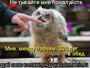 Не тыкайте мне пожалуйста. Мне, между прочим, 300 лет в обед... Котоматрица: Не тыкайте мне пожалуйста. Мне, между прочим, 300 лет в обед