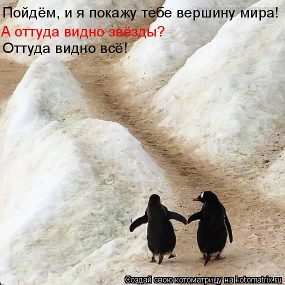 Котоматрица: Пойдём, и я покажу тебе вершину мира! А оттуда видно звёзды? Оттуда видно всё!