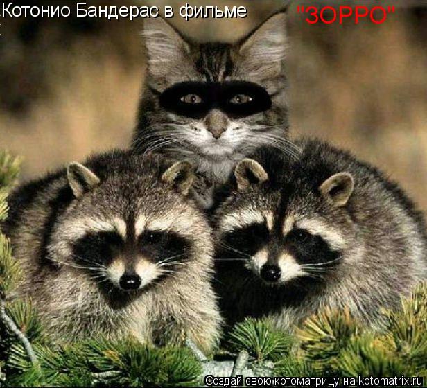 Котонио Бандерас в фильме "ЗОРРО"... Котоматрица: Котонио Бандерас в фильме "ЗОРРО"