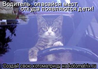Водитель, опасайся мест, откуда появляются дети!... Котоматрица: Водитель, опасайся мест, откуда появляются дети!
