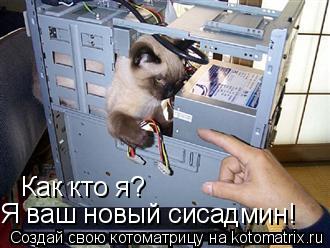 Я ваш новый сисадмин! Как кто я?... Котоматрица: Я ваш новый сисадмин! Как кто я?