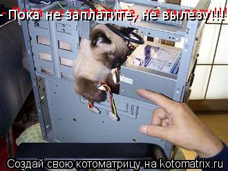 Котоматрица: - Пока не заплатите, не вылезу!!!!! - Пока не заплатите, не вылезу!!!!!