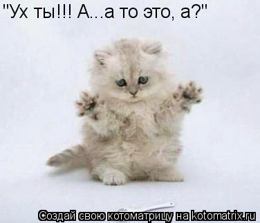 "Ух ты!!! А...а то это, а?"... Котоматрица: "Ух ты!!! А...а то это, а?"