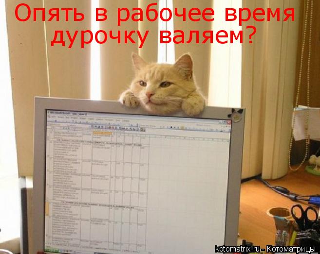 Опять в рабочее время дурочку валяем?... Котоматрица: Опять в рабочее время дурочку валяем?
