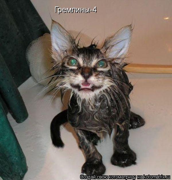 Котоматрица: Гремлины-4