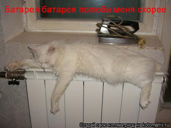 Батарея батарея полюби меня скорее... Котоматрица: Батарея батарея полюби меня скорее