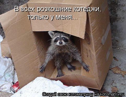 В всех розкошние котеджи, только у меня...... Котоматрица: В всех розкошние котеджи, только у меня...