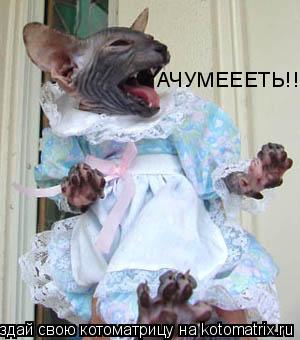 АЧУМЕЕЕТЬ!!!... Котоматрица: АЧУМЕЕЕТЬ!!!