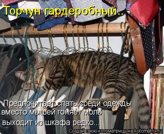 Торчун гардеробный.. Предпочитает спать среди одежды вместо мышей гоняет моль выходит из шкафа редко.... Котоматрица: Торчун гардеробный.. Предпочитает спать среди одежды вместо мышей гоняет моль выходит из шкафа редко...