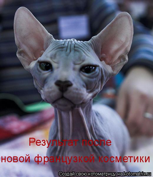 Результат после новой французкой косметики... Котоматрица: Результат после новой французкой косметики