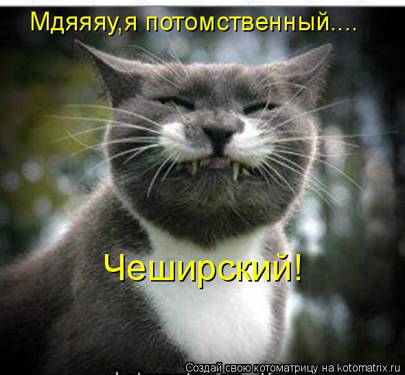 Мдяяяу,я потомственный.... Чеширский!... Котоматрица: Мдяяяу,я потомственный.... Чеширский!