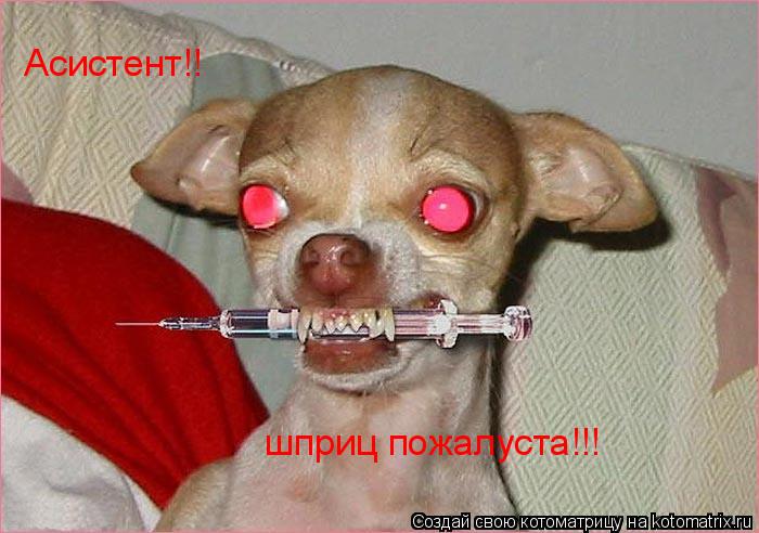 Асистент!! шприц пожалуста!!!... Котоматрица: Асистент!! шприц пожалуста!!!