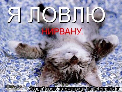 Я ЛОВЛЮ НИРВАНУ.... Котоматрица: Я ЛОВЛЮ НИРВАНУ.