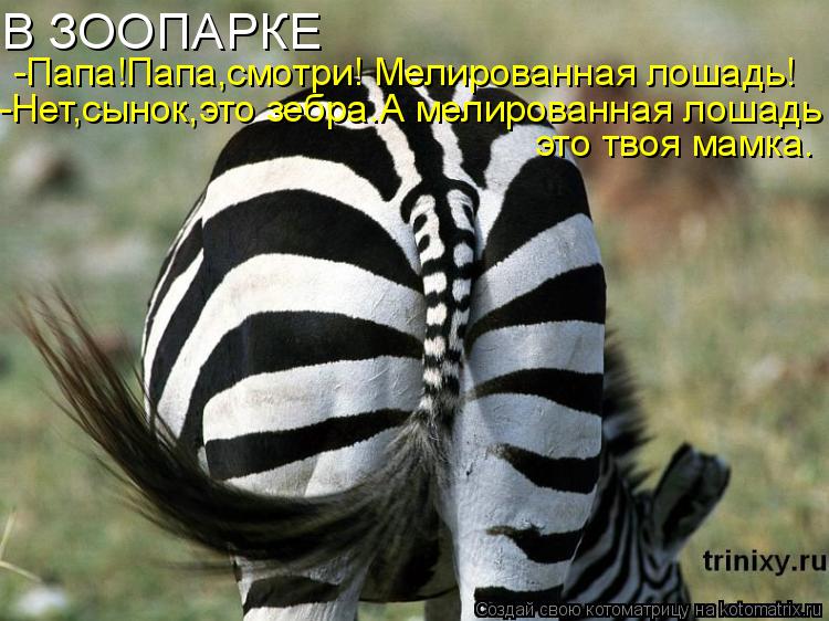 В ЗООПАРКЕ -Папа!Папа,смотри! Мелированная лошадь! -Нет,сынок,это зебра.А мелированная лошадь это тво... Котоматрица: В ЗООПАРКЕ -Папа!Папа,смотри! Мелированная лошадь! -Нет,сынок,это зебра.А мелированная лошадь это твоя мамка.