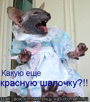 Какую еще красную шапочку?!!... Котоматрица: Какую еще красную шапочку?!!