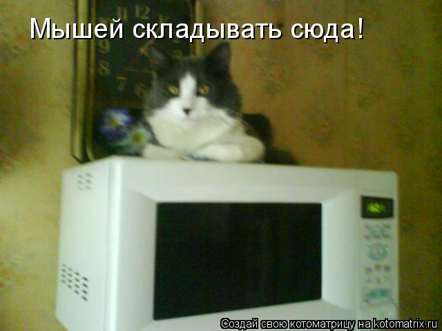 Котоматрица: Мышей складывать сюда!