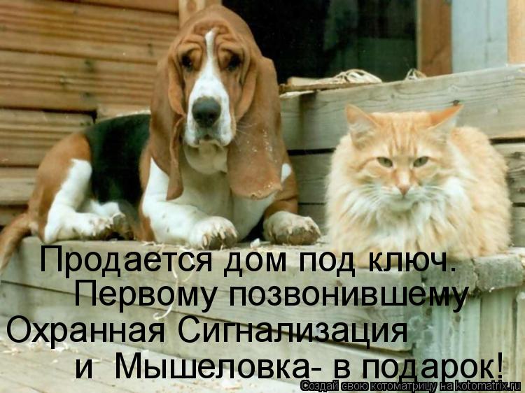 Котоматрица: Продается дом под ключ.  Первому позвонившему  Охранная Сигнализация  и  Мышеловка- в подарок!
