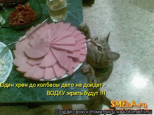 Один хрен до колбасы дело не дойдет - ВОДКУ жрать будут !!!... Котоматрица: Один хрен до колбасы дело не дойдет - ВОДКУ жрать будут !!!