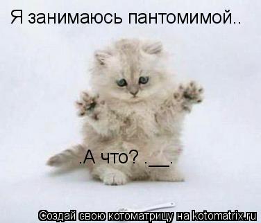 Я занимаюсь пантомимой.. .А что? °__°... Котоматрица: Я занимаюсь пантомимой.. .А что? °__°