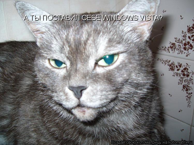 А ТЫ ПОСТАВИЛ СЕБЕ WINDOWS VISTA?... Котоматрица: А ТЫ ПОСТАВИЛ СЕБЕ WINDOWS VISTA?