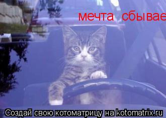 мечта сбывается а могет это сон.....яза рулем!!!... Котоматрица: мечта сбывается а могет это сон.....яза рулем!!!