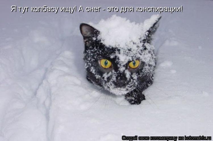 Я тут колбасу ищу! А снег - это для конспирации!... Котоматрица: Я тут колбасу ищу! А снег - это для конспирации!