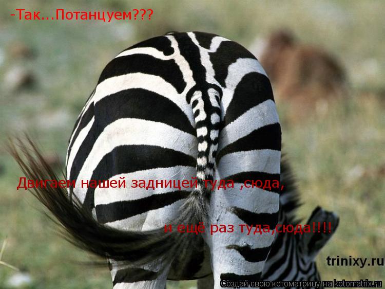 -Так...Потанцуем??? Двигаем нашей задницей туда ,сюда, и ещё раз туда,сюда!!!!... Котоматрица: -Так...Потанцуем??? Двигаем нашей задницей туда ,сюда, и ещё раз туда,сюда!!!!