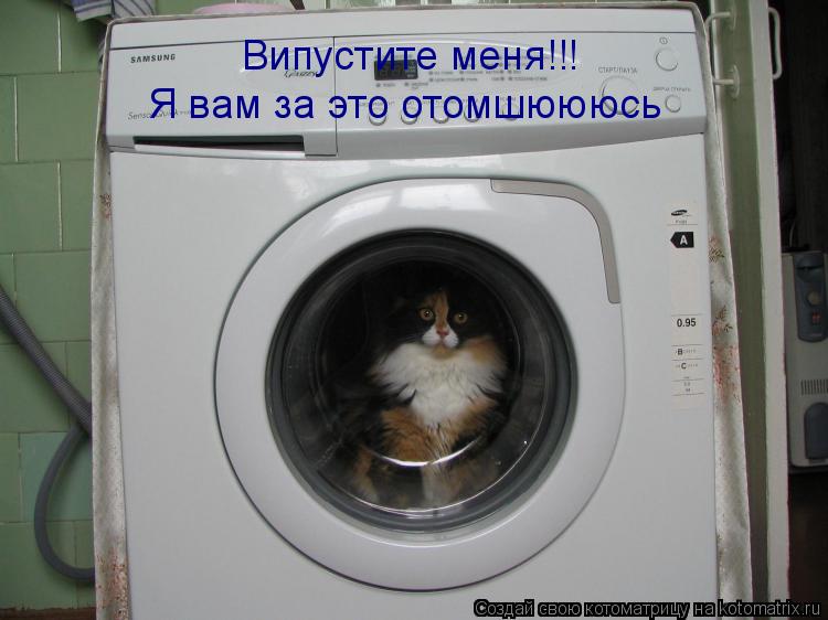 Випустите меня!!! Я вам за это отомшюююсь... Котоматрица: Випустите меня!!! Я вам за это отомшюююсь