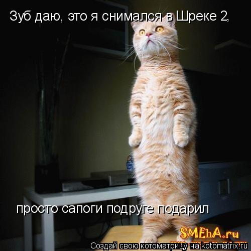 Зуб даю, это я снимался в Шреке 2 просто сапоги подруге подарил ,... Котоматрица: Зуб даю, это я снимался в Шреке 2 просто сапоги подруге подарил ,