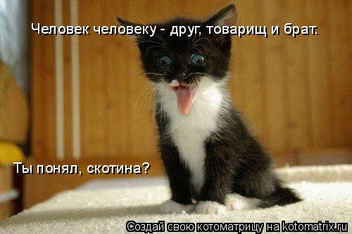 Ты понял, скотина? Человек человеку - друг, товарищ и брат.... Котоматрица: Ты понял, скотина? Человек человеку - друг, товарищ и брат.