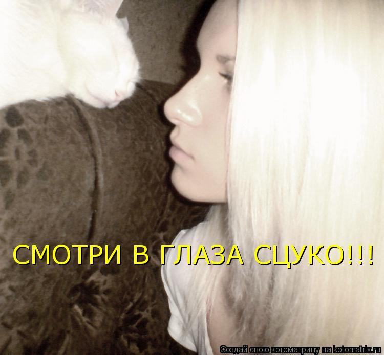СМОТРИ В ГЛАЗА СЦУКО!!!... Котоматрица: СМОТРИ В ГЛАЗА СЦУКО!!!