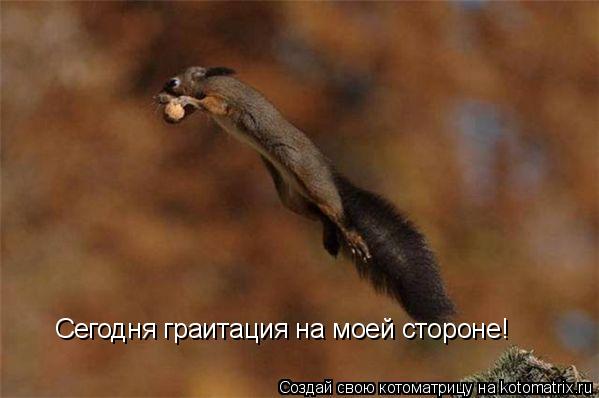 Сегодня граитация на моей стороне!... Котоматрица: Сегодня граитация на моей стороне!