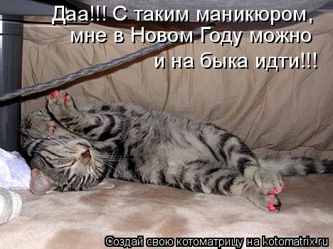 мне в Новом Году можно и на быка идти!!! Даа!!! С таким маникюром,... Котоматрица: мне в Новом Году можно и на быка идти!!! Даа!!! С таким маникюром,