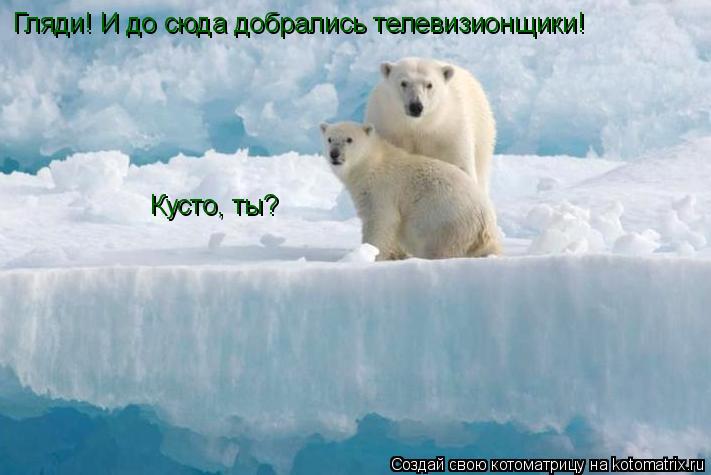 Котоматрица: Гляди! И до сюда добрались телевизионщики! Кусто, ты?