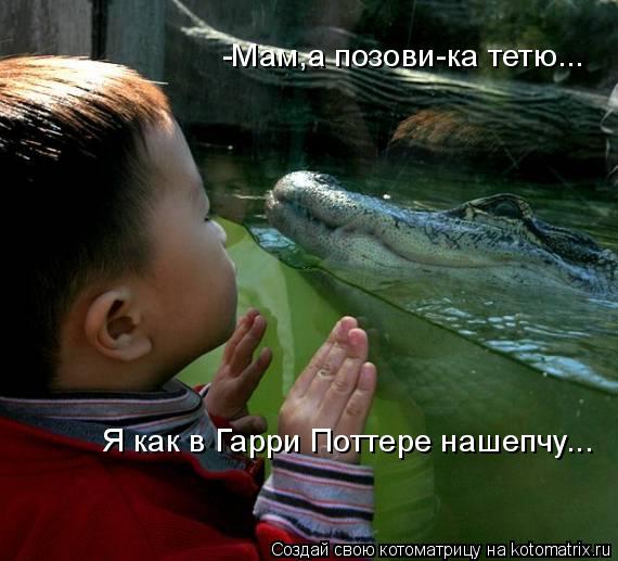 -Мам,а позови-ка тетю... Я как в Гарри Поттере нашепчу...... Котоматрица: -Мам,а позови-ка тетю... Я как в Гарри Поттере нашепчу...