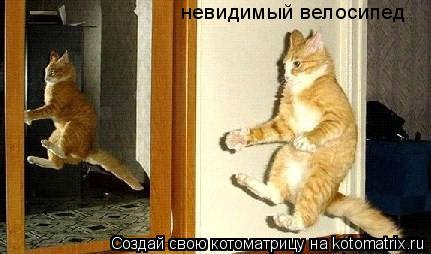 невидимый велосипед... Котоматрица: невидимый велосипед