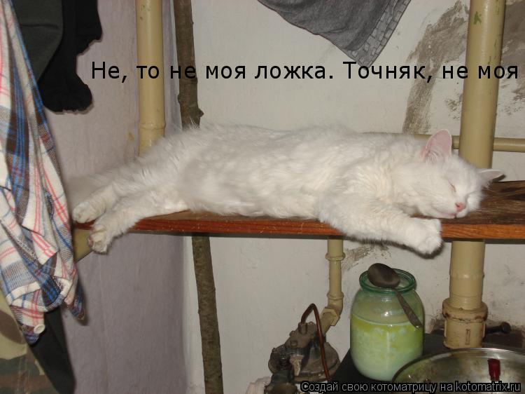 Котоматрица: Не, то не моя ложка. Точняк, не моя