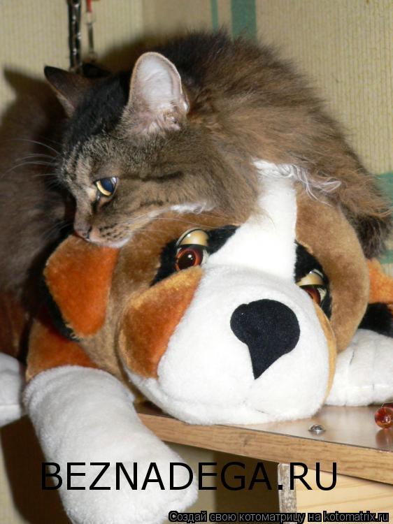 Котоматрица: BEZNADEGA.RU