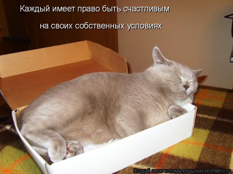 Котоматрица: Каждый имеет право быть счастливым на своих собственных условиях
