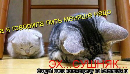 ЭХ...СУШНЯК... а я говорила пить меняше надо... Котоматрица: ЭХ...СУШНЯК... а я говорила пить меняше надо