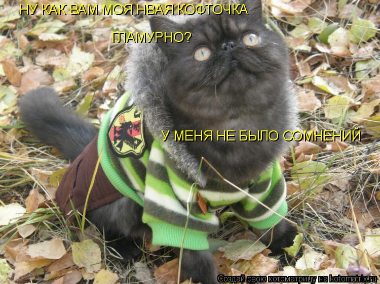 НУ КАК ВАМ МОЯ НВАЯ КОФТОЧКА ГЛАМУРНО? У МЕНЯ НЕ БЫЛО СОМНЕНИЙ... Котоматрица: НУ КАК ВАМ МОЯ НВАЯ КОФТОЧКА ГЛАМУРНО? У МЕНЯ НЕ БЫЛО СОМНЕНИЙ