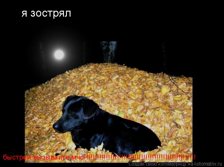 я зострял быстрей вызывайте мчс!!!!!!!!!!!!!!!!!!!!!!!!!!!!!!!!!!!!!!!!!!!!!!!!!!!... Котоматрица: я зострял быстрей вызывайте мчс!!!!!!!!!!!!!!!!!!!!!!!!!!!!!!!!!!!!!!!!!!!!!!!!!!!