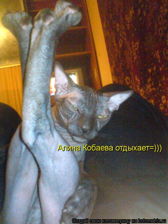 Алина Кобаева отдыхает=)))... Котоматрица: Алина Кобаева отдыхает=)))